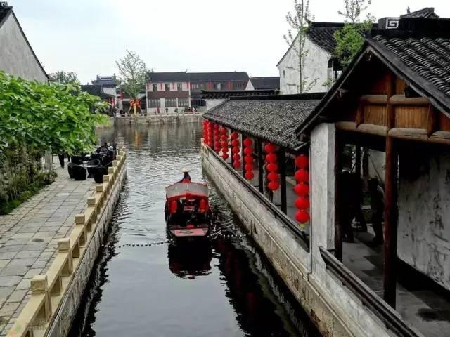 植物神经紊乱心慌吃不下饭，这样可以快速干预？